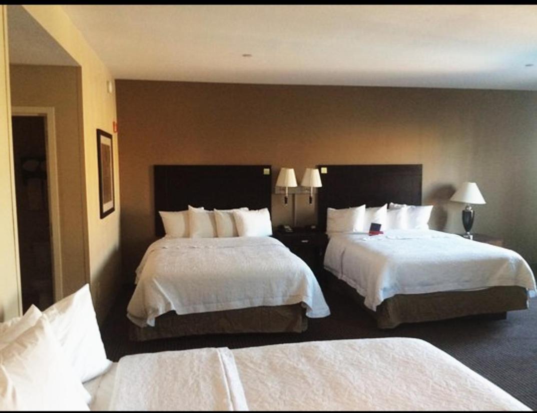 London Guest Room Ngoại thất bức ảnh